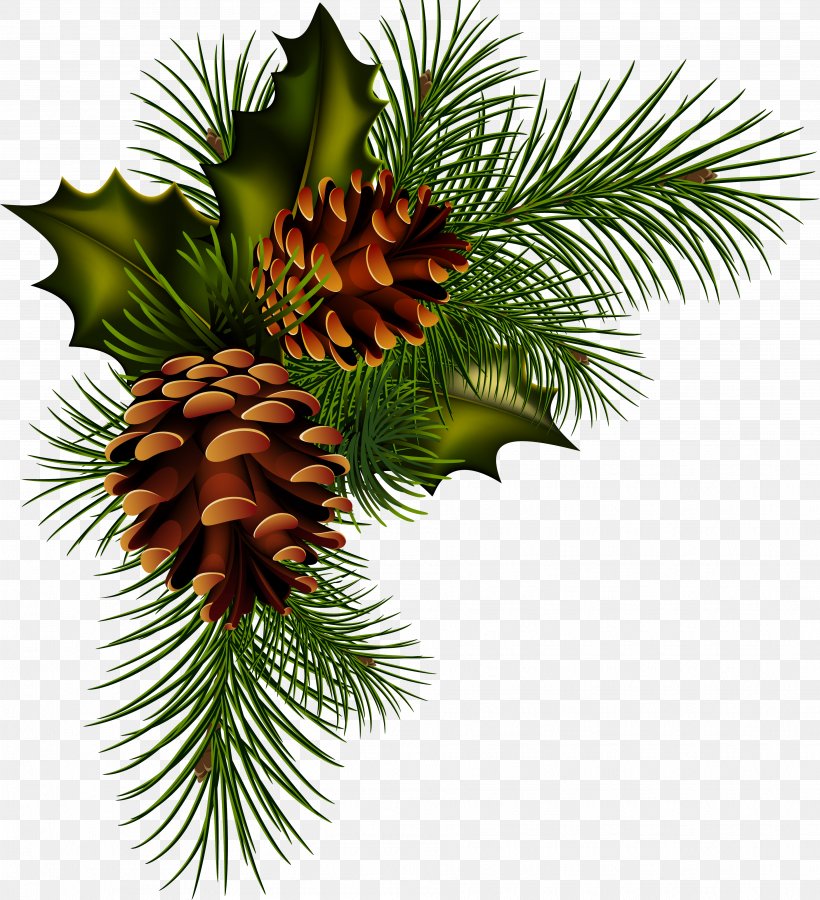 Conifer Cone Pine Christmas Clip Art, PNG, 3752x4120px, Conifer Cone, California Foothill Pine, Christmas, Christmas Decoration, Christmas Ornament Download Free