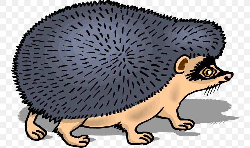 Domesticated Hedgehog Porcupine European Hedgehog Drawing Clip Art, PNG, 750x486px, Domesticated Hedgehog, Animal, Carnivoran, Cat Like Mammal, Coloring Book Download Free