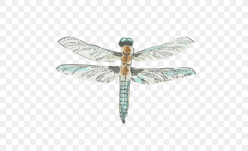 Dragonfly Drawing Watercolor Painting, PNG, 500x500px, Dragonfly, Dragonflies And Damseflies, Drawing, Fly, Fundal Download Free