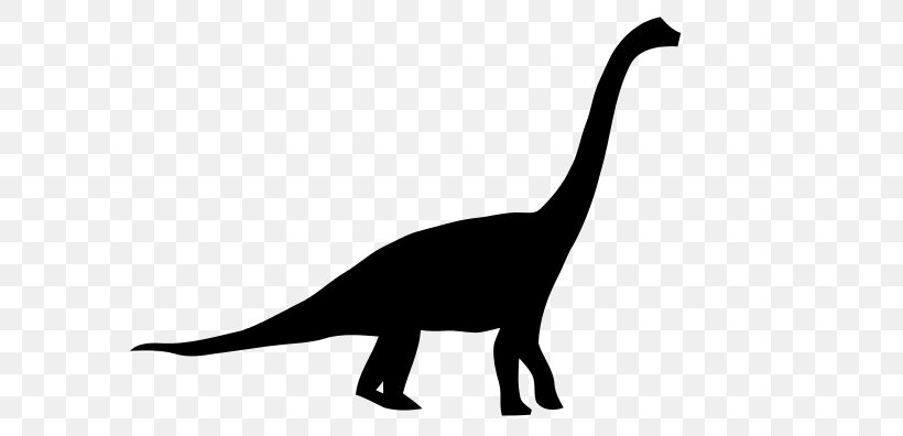 Brachiosaurus Apatosaurus Diplodocus Brontosaurus Dinosaur Size, PNG, 640x396px, Brachiosaurus, Ankylosaurus, Antarctosaurus, Apatosaurus, Black And White Download Free