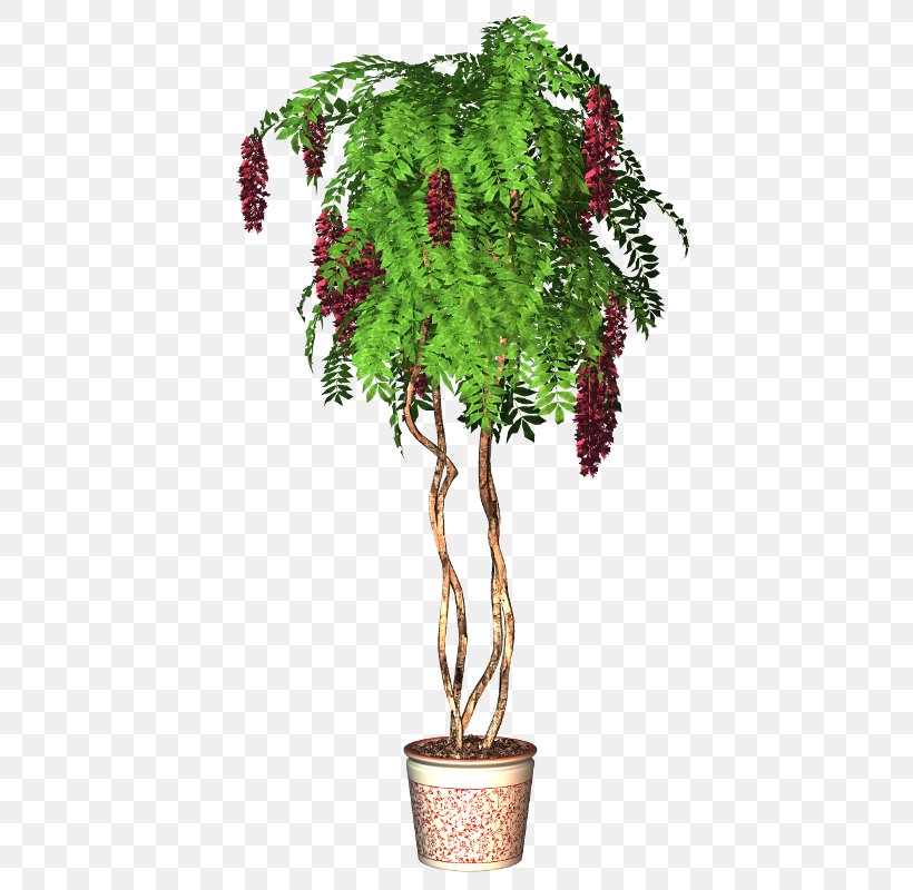 Flowerpot Tree Plant, PNG, 445x800px, Flowerpot, Branch, Crock, Evergreen, Flower Download Free