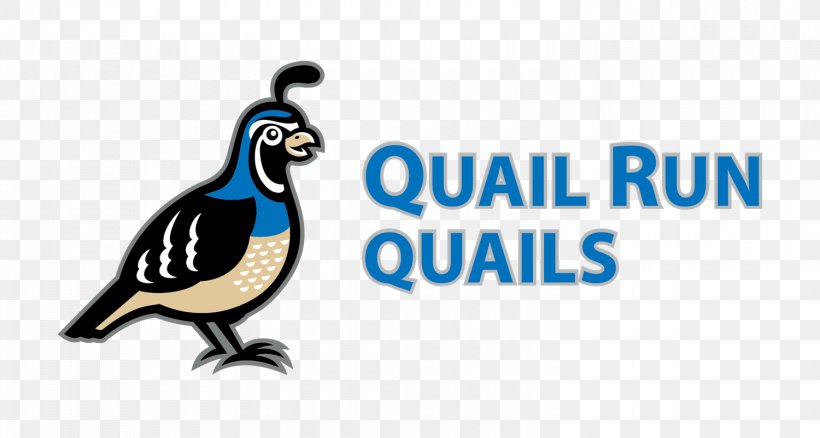 Quail Run Behavioral Health West Quail Avenue Bird Clip Art, PNG, 1500x803px, Quail, Beak, Bird, Brand, California Quail Download Free