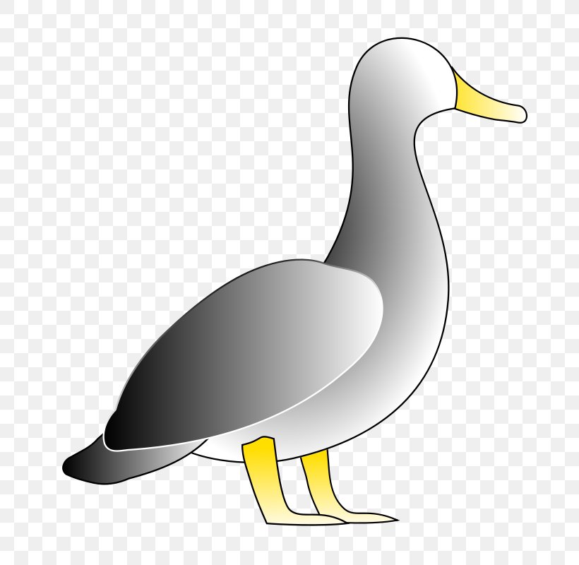 Donald Duck Clip Art, PNG, 800x800px, Duck, Beak, Bird, Donald Duck, Ducks Geese And Swans Download Free