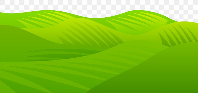Green Leaf Product Angle, PNG, 8000x3774px, Green, Grass, Leaf, Product Design, Yellow Download Free