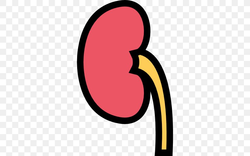 Kidney, PNG, 512x512px, Medicine, Area, Kidney, Physician, Symbol Download Free