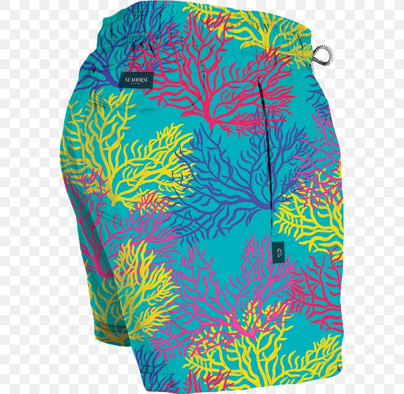 Turquoise Swimsuit, PNG, 800x800px, Turquoise, Shorts, Swimsuit, Swimsuit Bottom Download Free