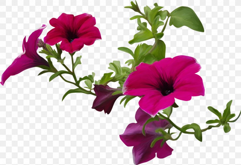 Flower Petal 190s 180s May, PNG, 1280x880px, Flower, Annual Plant, Flower Bouquet, Flowering Plant, Magenta Download Free