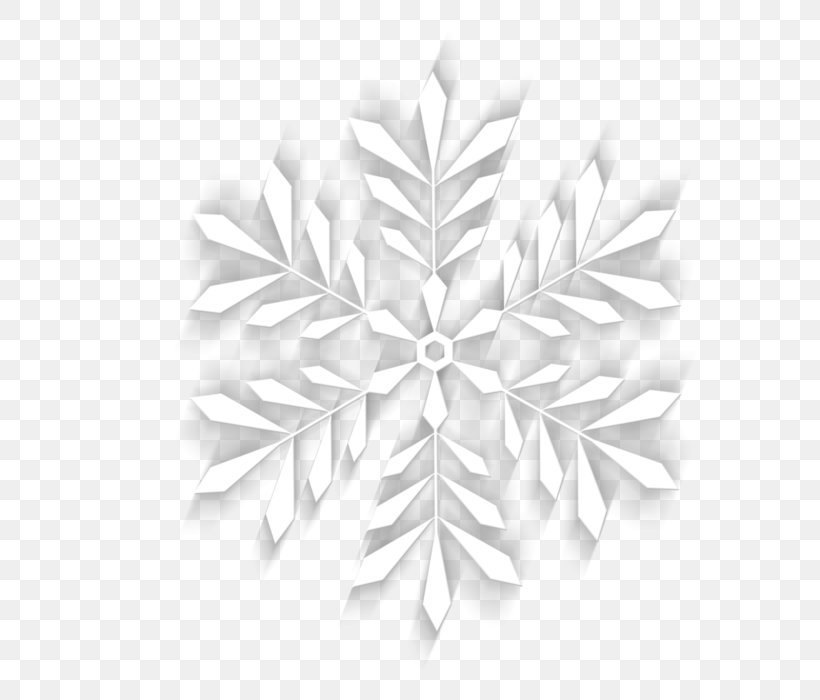 Clip Art Christmas Day Symmetry Product Design, PNG, 616x700px, Christmas Day, Black And White, Monochrome, Monochrome Photography, Petal Download Free