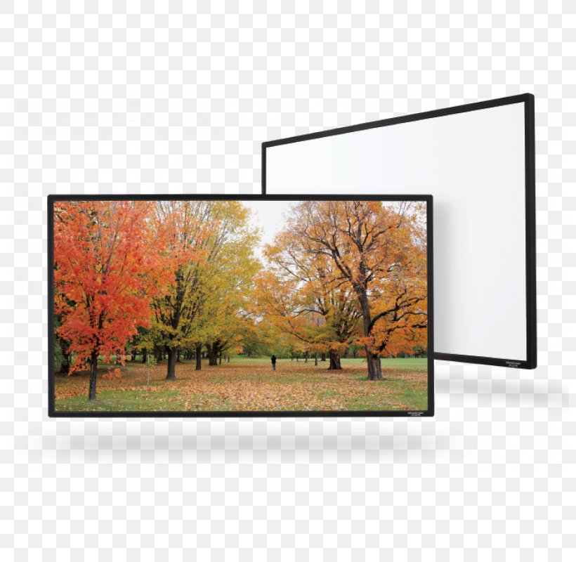 Projection Screens 16:9 Projector 4K Resolution Cinema, PNG, 800x800px, 4k Resolution, Projection Screens, Aspect Ratio, Cinema, Computer Monitors Download Free