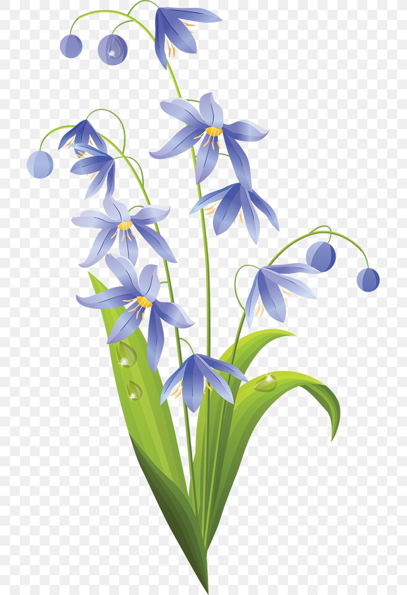 Easter Lily Flower, PNG, 711x1200px, Easter Lily, Bellflower Family, Branch, Flora, Floral Design Download Free