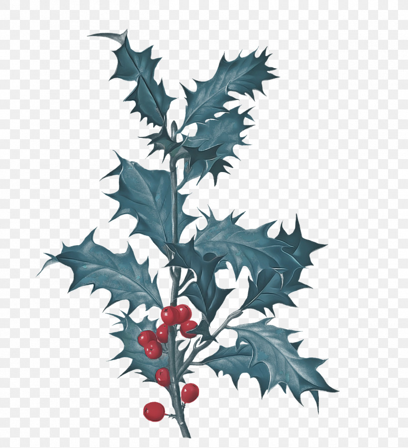 Leaf Painting, PNG, 1310x1440px, Leaf, American Holly, Aquifoliales, Biology, Branch Download Free