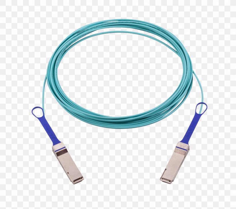 100 Gigabit Ethernet Electrical Cable Optical Fiber Cable, PNG, 2953x2617px, 100 Gigabit Ethernet, Cable, Category 5 Cable, Data Transfer Cable, Displayport Download Free