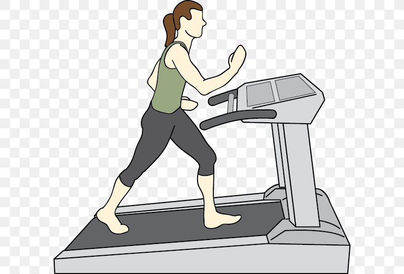 Exercise Machine Aerobic Exercise Physical Therapy Gold's Gym, PNG, 604x556px, Exercise, Aerobic Exercise, Arm, Endurance, Exercise Equipment Download Free