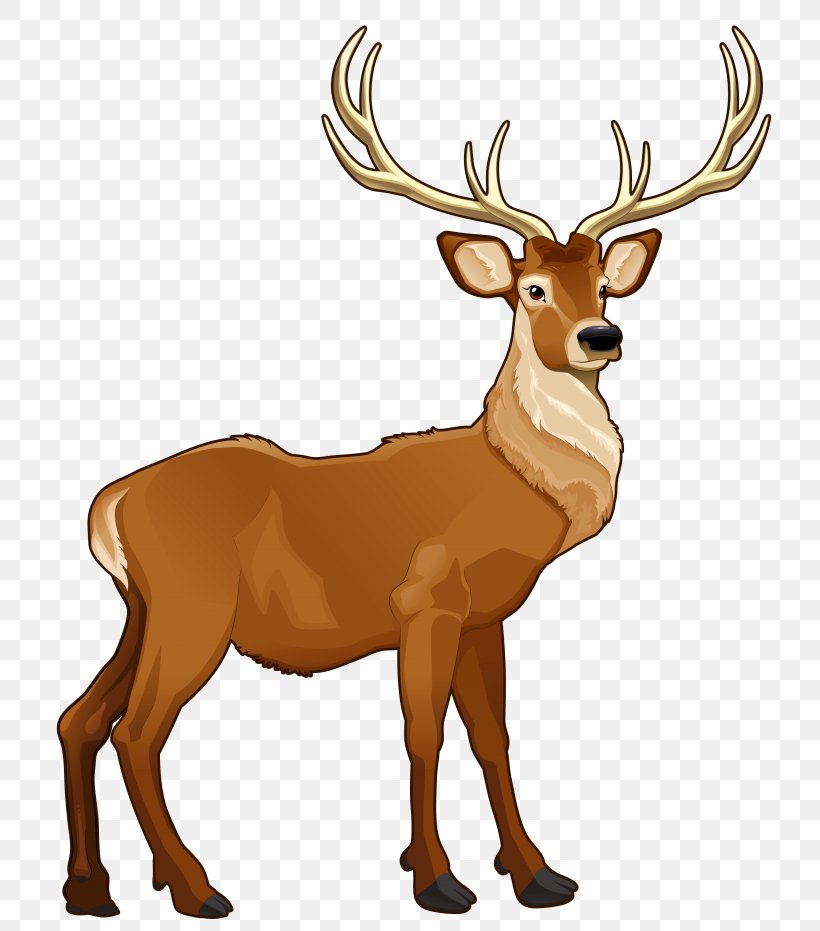 Reindeer Deer: Super Fun Coloring Books For Kids And Adults Clip Art, PNG, 768x931px, Deer, Antler, Depositphotos, Drawing, Elk Download Free