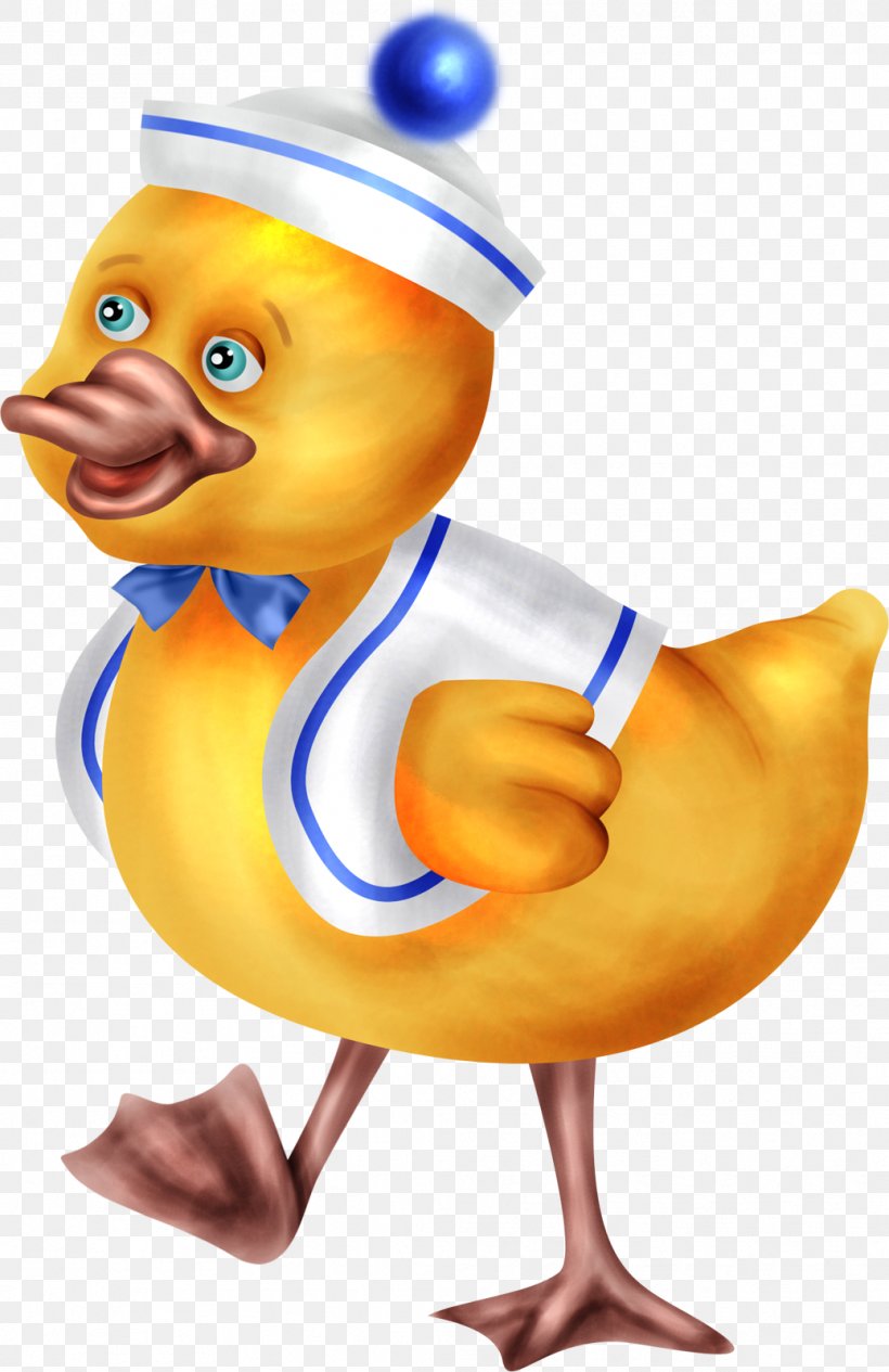 Duck Cartoon, PNG, 1037x1600px, Duck, Beak, Bird, Cartoon, Color Download Free