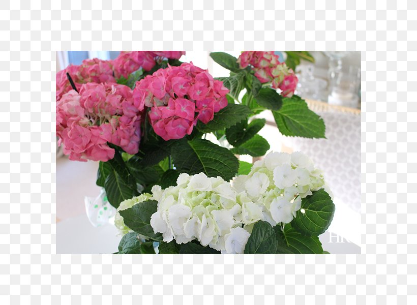 Hydrangea Cut Flowers Floristry Floral Design, PNG, 600x600px, Hydrangea, Annual Plant, Artificial Flower, Cornales, Cut Flowers Download Free