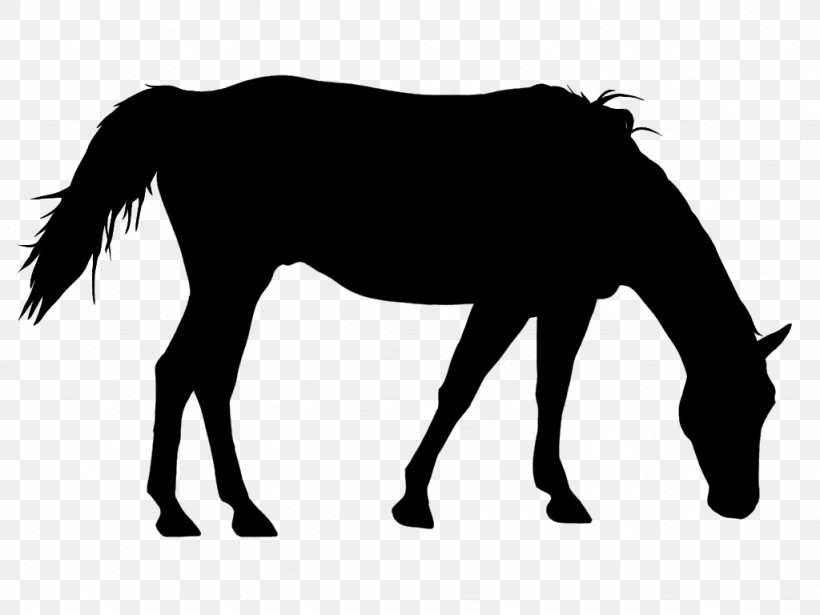 Hair Cartoon, PNG, 1024x768px, American Paint Horse, American Quarter Horse, Andalusian Horse, Animal Figure, Arabian Horse Download Free