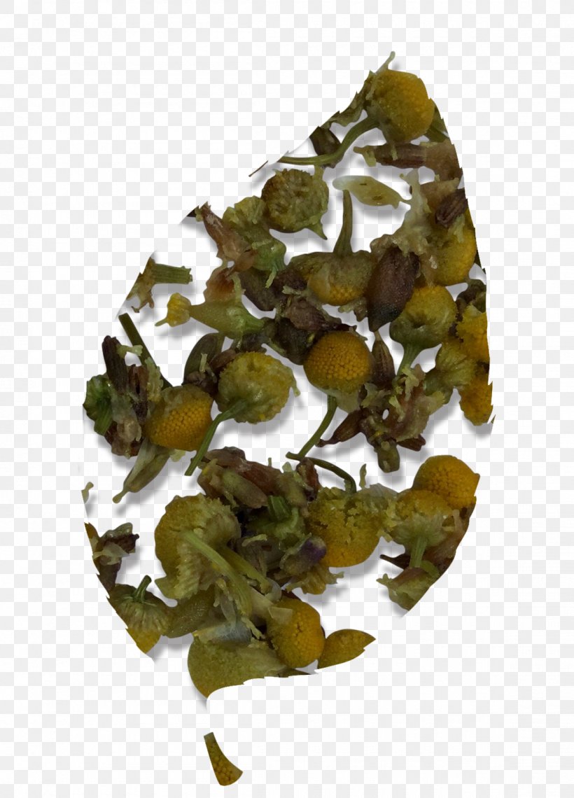 Tieguanyin Oolong Png X Px Tieguanyin Oolong Download Free