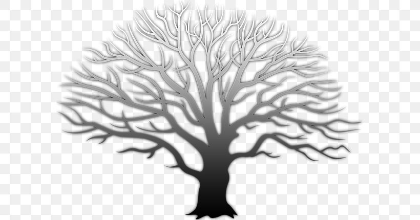 Tree Clip Art, PNG, 600x430px, Tree, Black And White, Branch, Document, Drawing Download Free