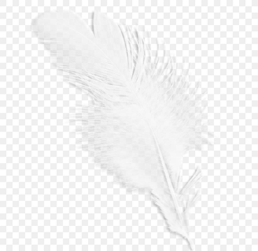 Black And White Feather Wing Pattern, PNG, 625x800px, Black And White, Bird, Black, Feather, Material Download Free