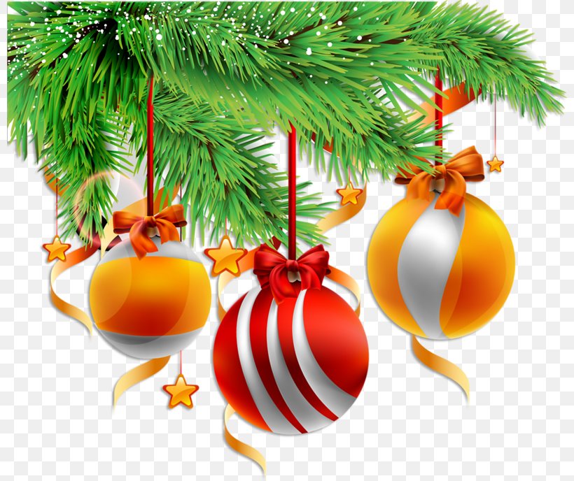 Christmas Ornament, PNG, 800x688px, Christmas Ornament, Ball, Bolas, Branch, Cartoon Download Free