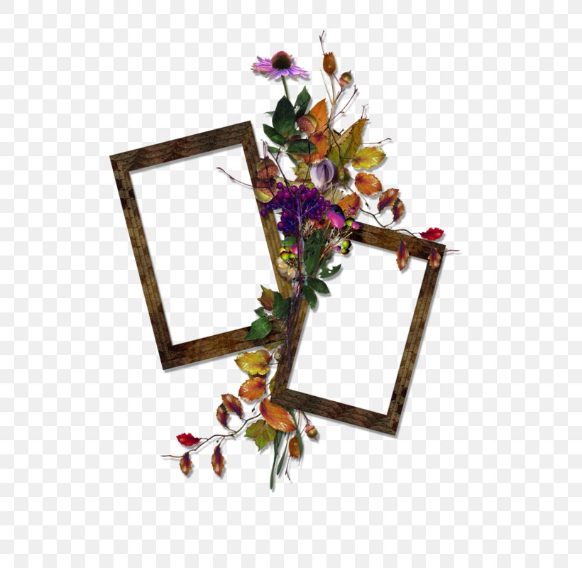 Cut Flowers Floral Design Artificial Flower, PNG, 800x800px, Cut Flowers, Artificial Flower, Flora, Floral Design, Flower Download Free