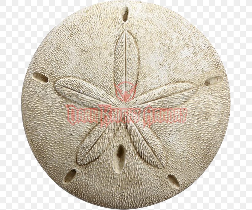 Echinoderm Art Sand Dollar Wall, PNG, 683x683px, Echinoderm, Art, Beach, Beige, Color Download Free