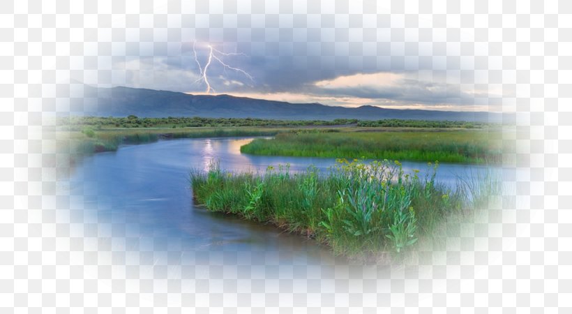 Water Resources Loch Benton Crossing, California Wetland Inlet, PNG, 800x450px, Water Resources, Art, Calm, Energy, Grass Download Free