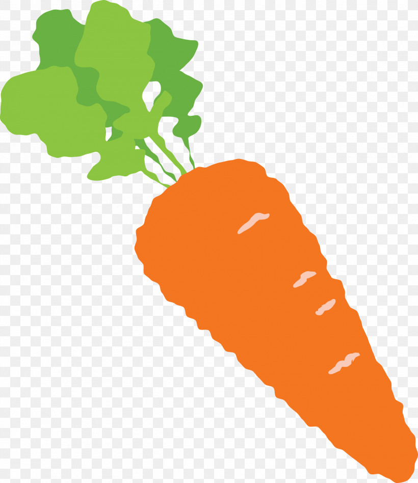 Carrot, PNG, 2594x2999px, Carrot, Biology, Fruit, Geometry, Leaf Download Free