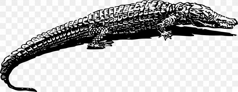 Crocodile Alligator Animal Drawing Clip Art, PNG, 2500x973px, Crocodile, Alligator, American Crocodile, Animal, Animal Figure Download Free
