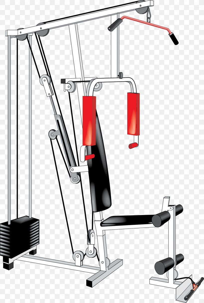 Wedding Invitation Fitness Centre Physical Fitness Exercise Equipment, PNG, 1463x2170px, Wedding Invitation, Bodybuilding, Dumbbell, Exercise Equipment, Exercise Machine Download Free