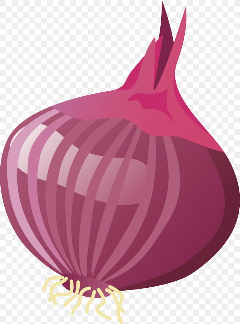 Yellow Onion Garlic, PNG, 1679x2267px, Onion, Allium Fistulosum, Drawing, Food, Garlic Download Free