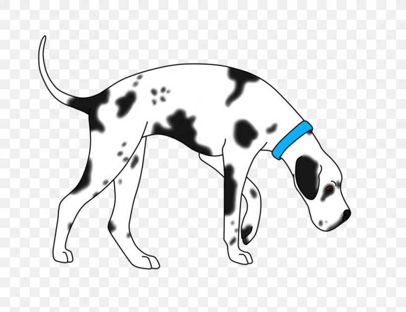 Dalmatian Dog Italian Greyhound Puppy Dog Breed, PNG, 1020x784px, Dalmatian Dog, Breed, Canidae, Carnivore, Dalmatian Download Free
