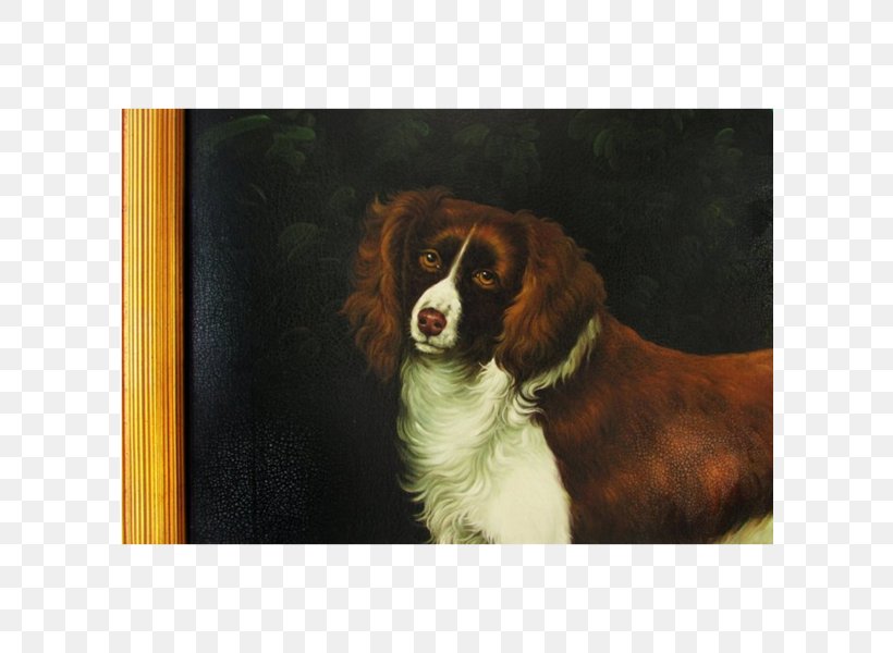 English Springer Spaniel Cavalier King Charles Spaniel Dog Breed Companion Dog, PNG, 600x600px, English Springer Spaniel, Breed, Carnivoran, Cavalier King Charles Spaniel, Companion Dog Download Free