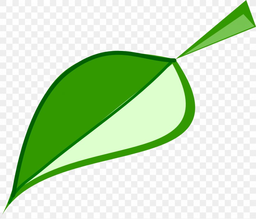 Leaf Green Clip Art, PNG, 1920x1643px, Leaf, Drawing, Ecology, Fern, Grass Download Free