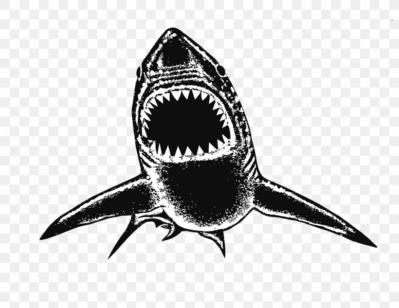 Open Water Swimming Recreation Sport Shark, PNG, 1500x1159px, Swimming, Black And White, Ensenada, Fish, Institute Download Free