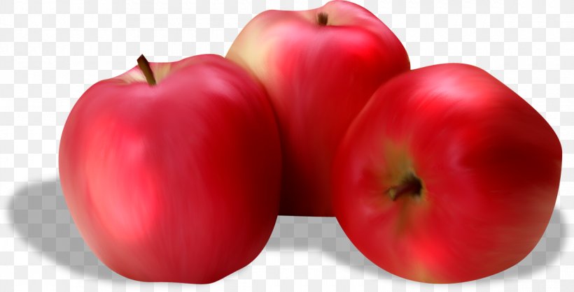 Apple Auglis Vecteur, PNG, 1160x592px, Apple, Accessory Fruit, Acerola, Auglis, Autumn Download Free