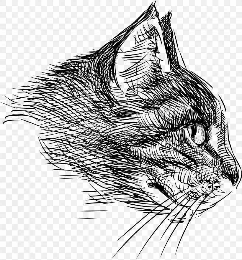Cat Drawing, PNG, 3714x4000px, Cat, Agressive, Art, Artwork, Black And White Download Free