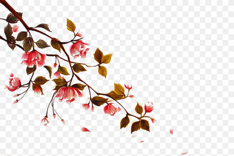 Cherry Blossom Tree, PNG, 999x666px, Stau150 Minvuncnr Ad, Blossom, Branch, Cherries, Cherry Blossom Download Free