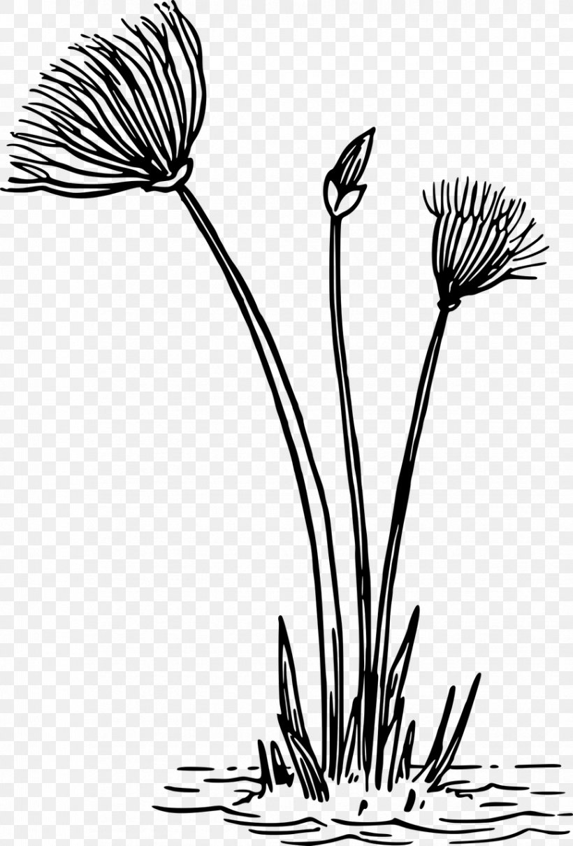 Flower Kvetina Clip Art, PNG, 867x1280px, Flower, Black And White, Branch, Drawing, Flora Download Free