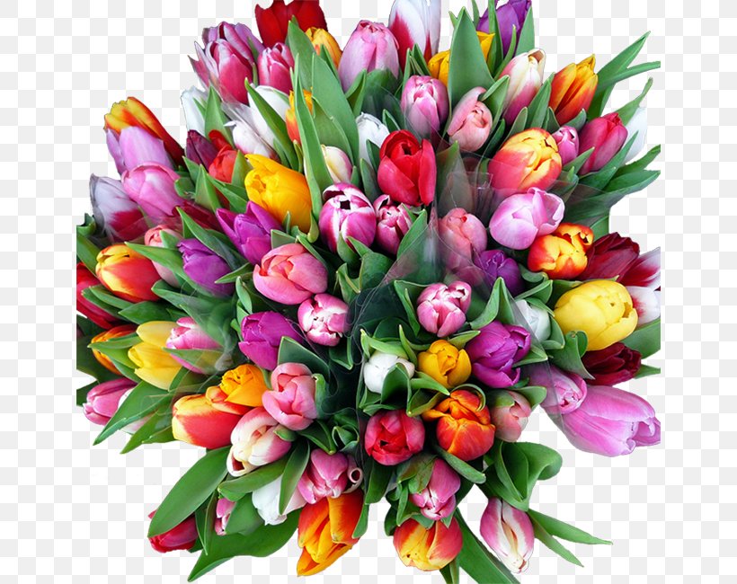 Flower Netherlands Tulip Woman Birthday, PNG, 650x650px, 8 March, Flower, Birthday, Cree Cicchino, Cut Flowers Download Free