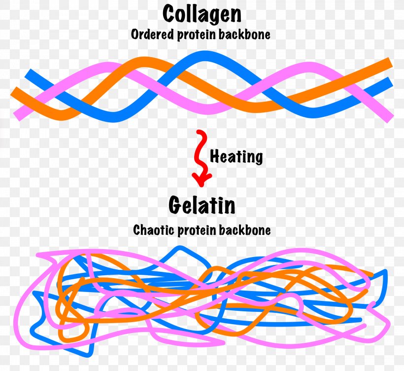 Gelatin Thickening Agent Collagen Pectin, PNG, 2091x1920px, Gelatin, Area, Boiling, Collagen, Diagram Download Free