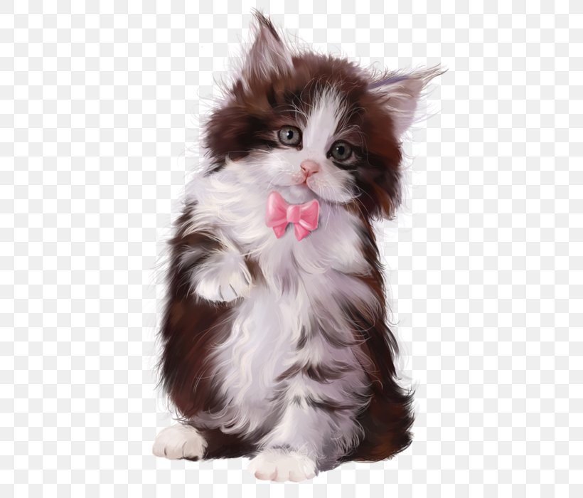 Kitten Cat Toy Poodle Puppy, PNG, 504x700px, Kitten, American Robin, Animal, Carnivoran, Cat Download Free