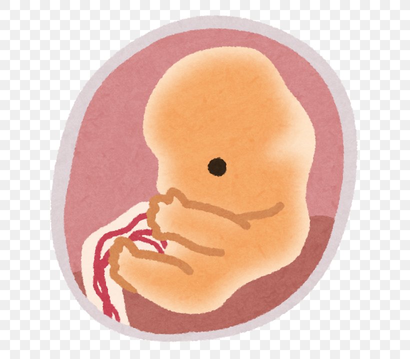 Cancer Pregnancy Fetus Birth Child, PNG, 677x718px, Cancer, Birth, Blood, Child, Childbirth Download Free