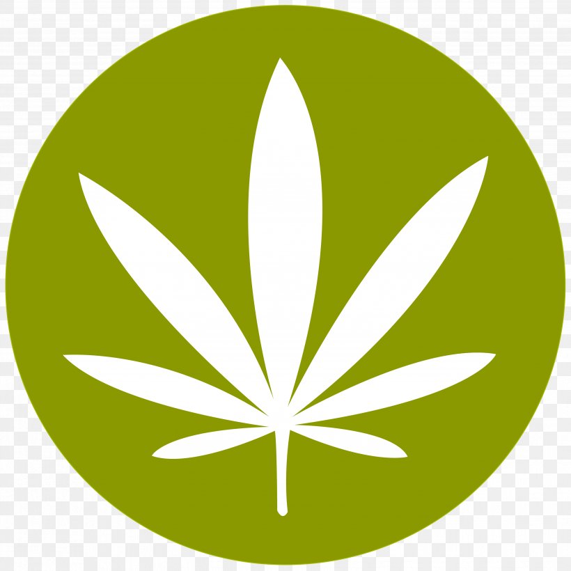 Cannabis Smoking Medical Cannabis Legality Of Cannabis Hashish, PNG, 3508x3508px, Adult Use Of Marijuana Act, Cannabis, Cannabis Shop, Decriminalization, Drug Download Free