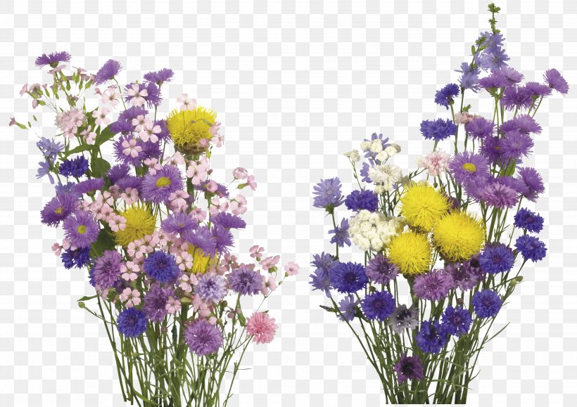 English Lavender Cut Flowers Overlay, PNG, 3508x2480px, English Lavender, Adobe Lightroom, Annual Plant, Cut Flowers, Flora Download Free