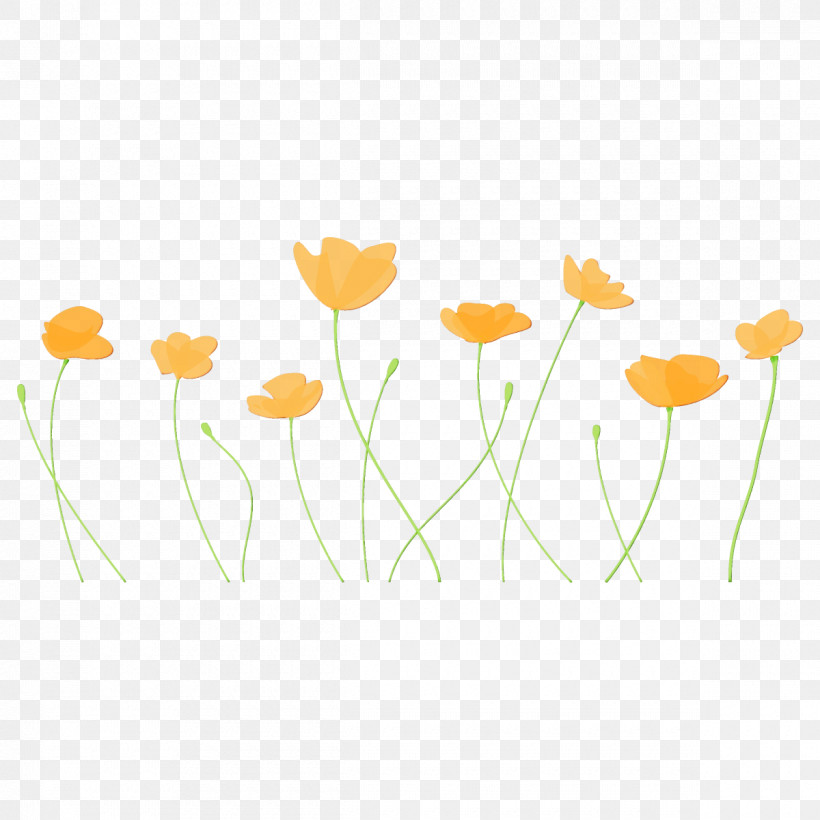 Flower Yellow Plant Chamomile Plant Stem, PNG, 1200x1200px, Poppy Flower, Camomile, Chamomile, Flower, Paint Download Free