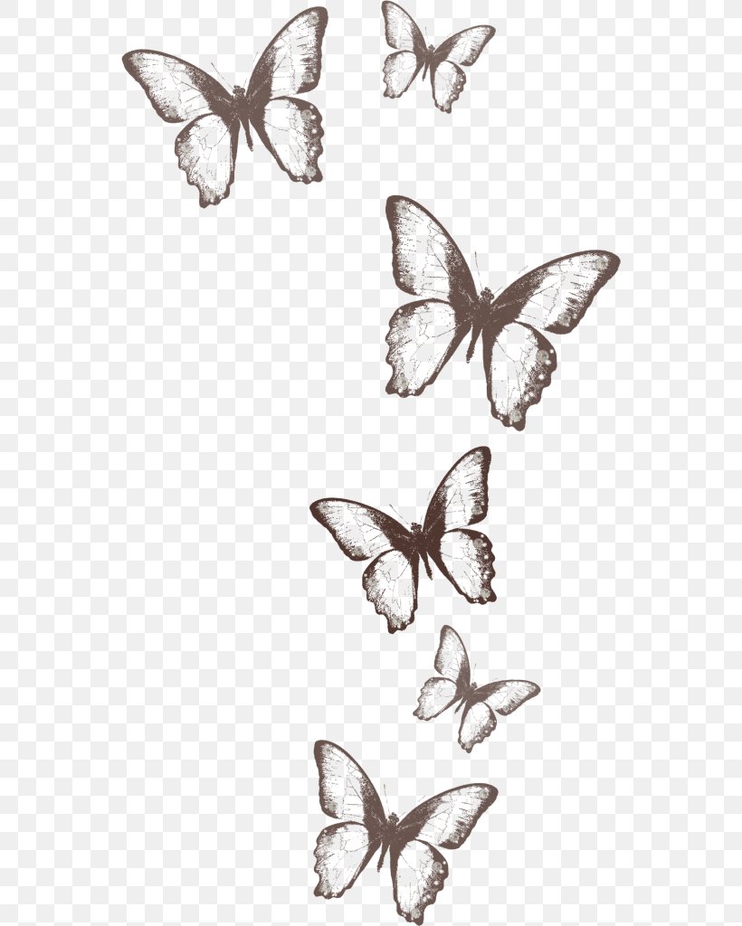 Monarch Butterfly Drawing Clip Art, PNG, 552x1024px, Monarch Butterfly, Artwork, Black And White, Brush Footed Butterfly, Butterflies And Moths Download Free