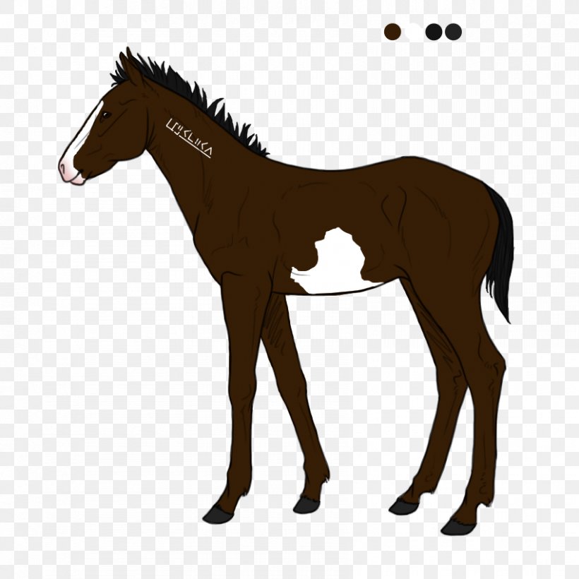 Mustang Biri Travbane Foal Pony, PNG, 850x850px, Mustang, Animal Figure, Bridle, Colt, Foal Download Free