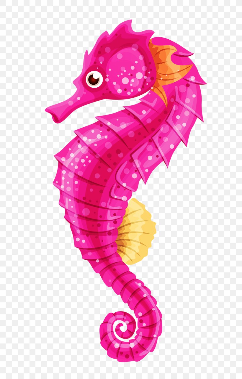 Seahorse Clip Art, PNG, 716x1280px, Seahorse, Animal, Drawing, Fish, Magenta Download Free